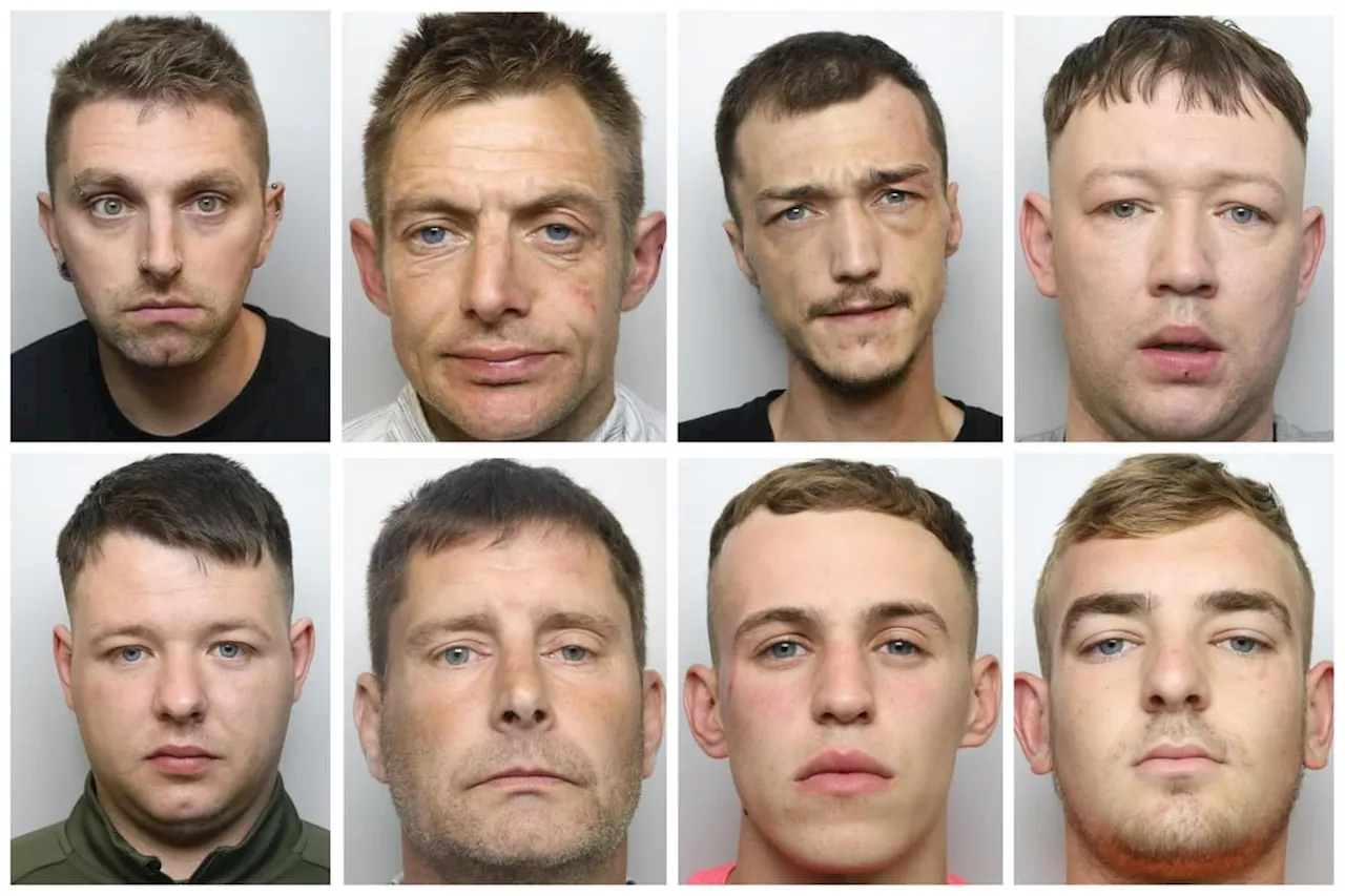 Paedophile, Violent Thug, and Drug Dealers Face Justice in Leeds