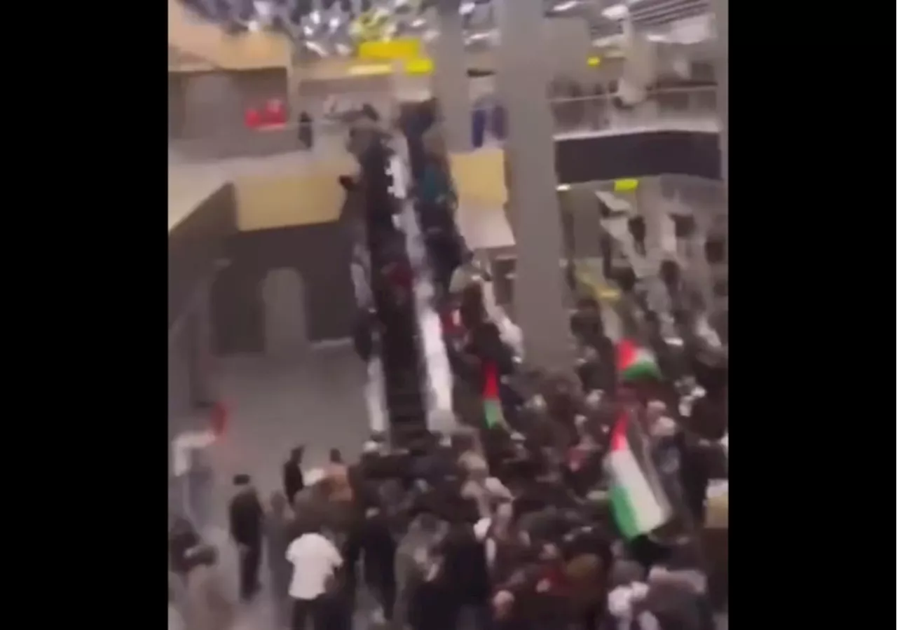 “Pro-Palestinian” Mobs Shouting “Allahu Akbar” Hunt Jews At Makhachkala, Dagestan (Russia) Airport