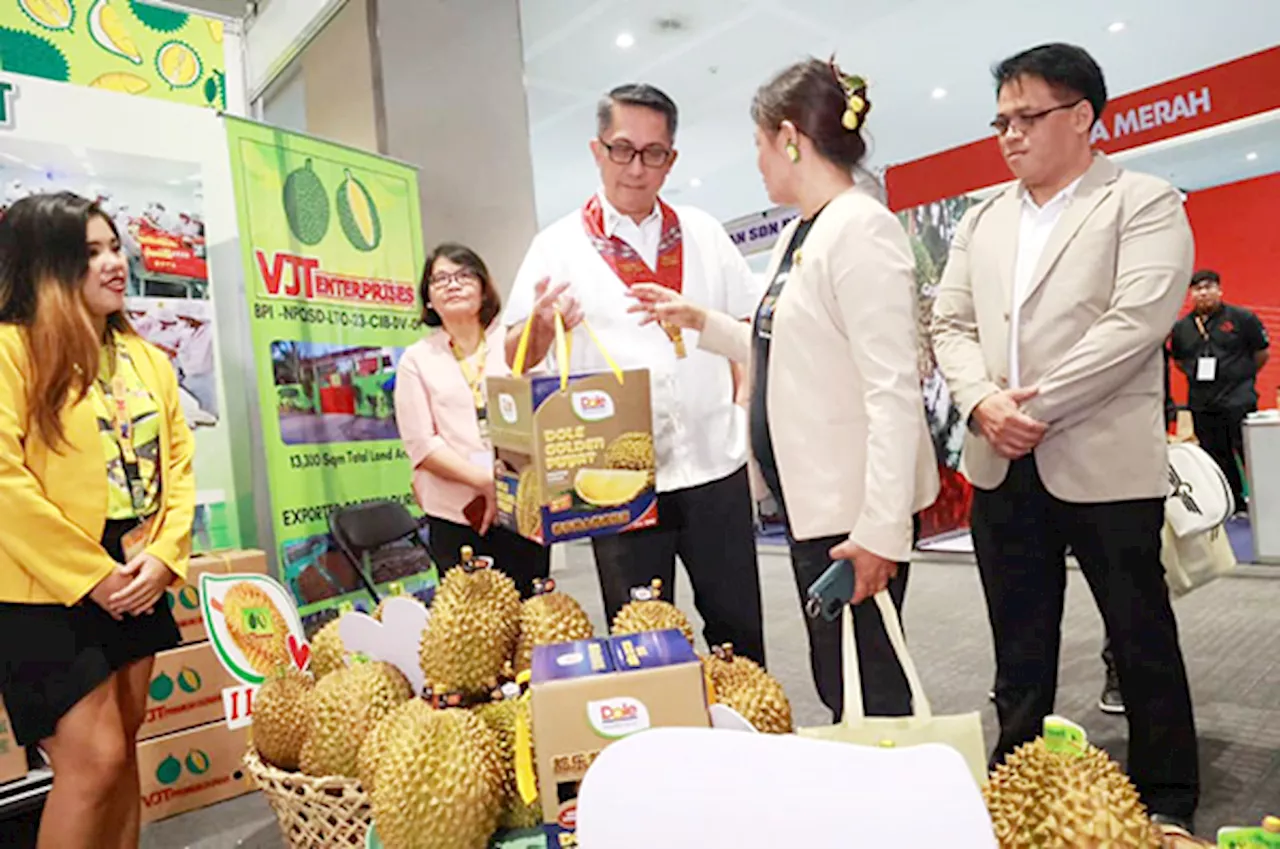 Magno backs durian industry in Davao City