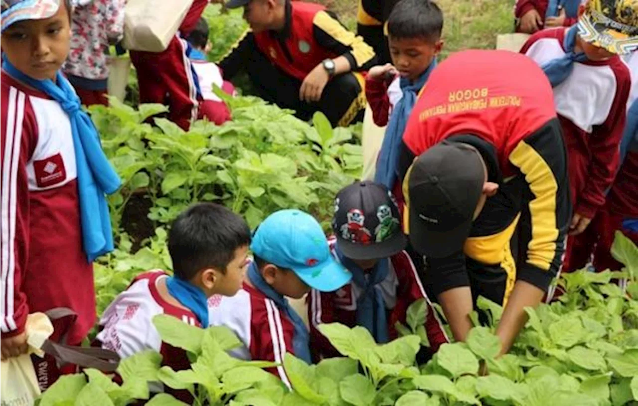 Belajar Pertanian, Siswa SDIT Insantama Kunjungi Polbangtan Bogor