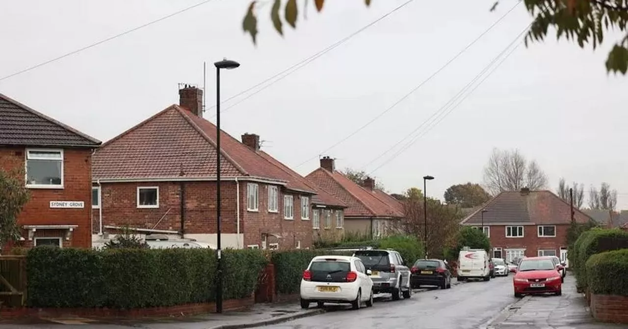 Two XL Bully dogs seized after severe attack in North Tyneside