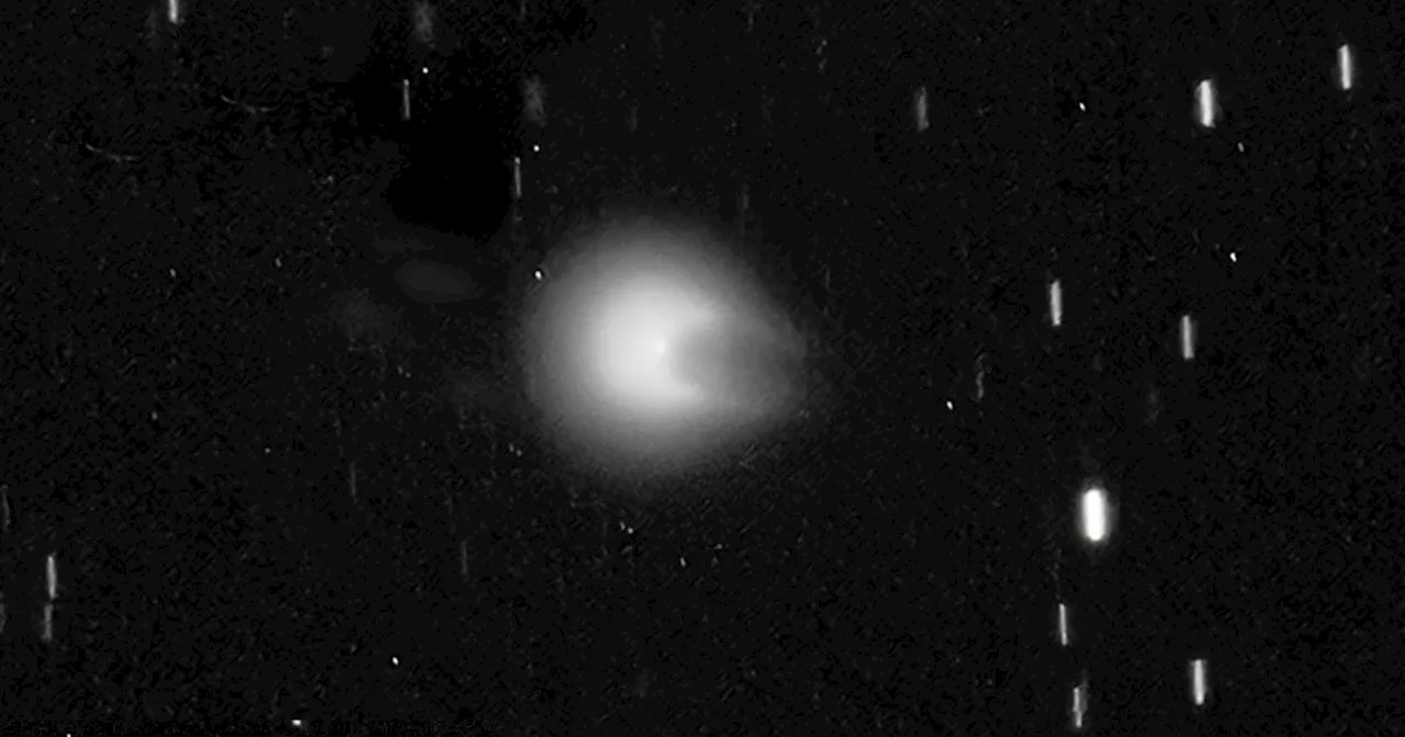 'Devil comet' will bring its horns swooping by Earth this summer