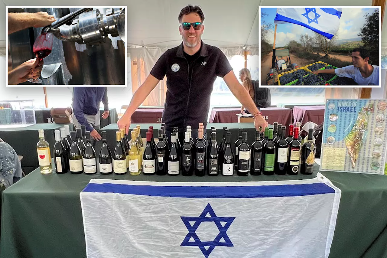 Americans urged to buy Israeli wine to aid Jewish relief efforts: 'Sip for Solidarity':