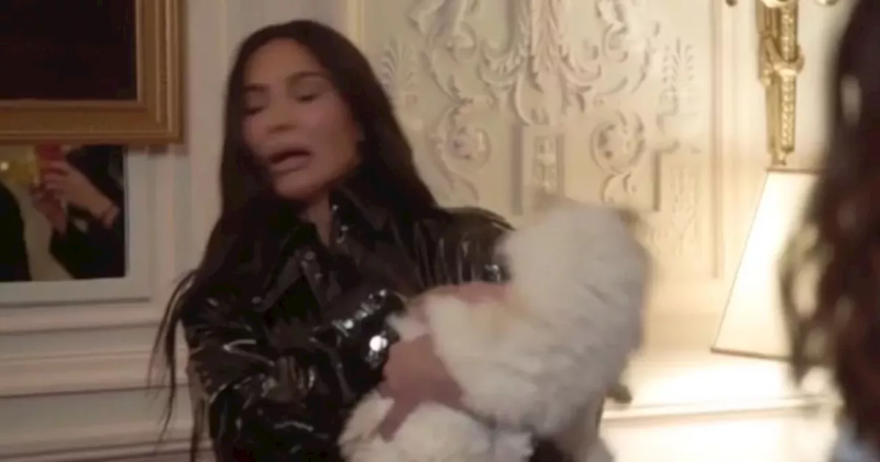 Kim Kardashian's Plan to Bring Karl Lagerfeld's Cat to Met Gala Hits a Roadblock