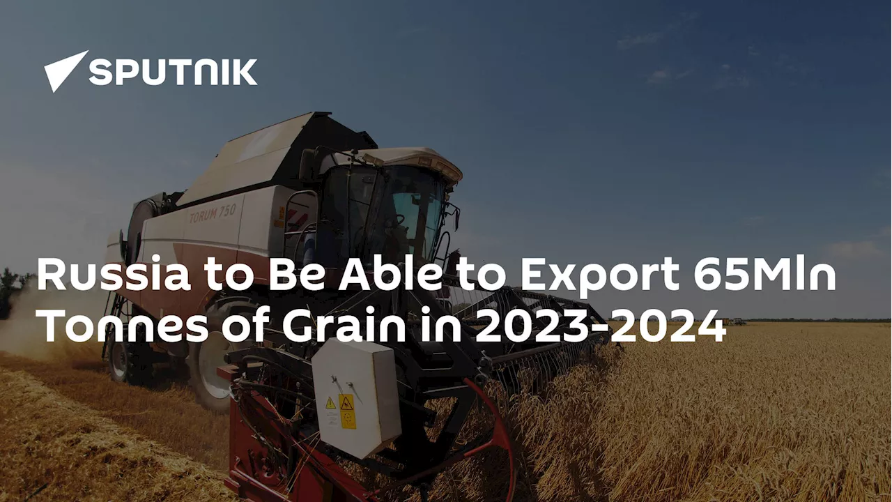 Russia to Be Able to Export 65Mln Tonnes of Grain in 2023-2024