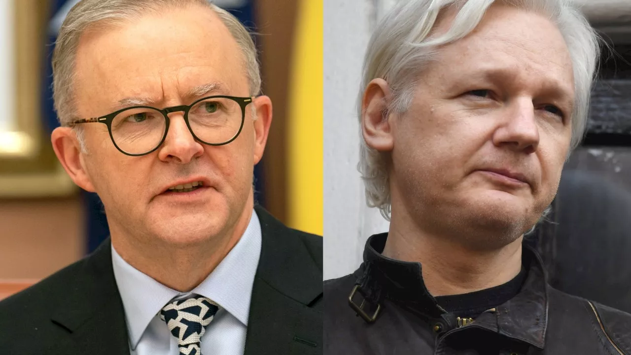 Albanese rejects call for Biden to intervene on Assange