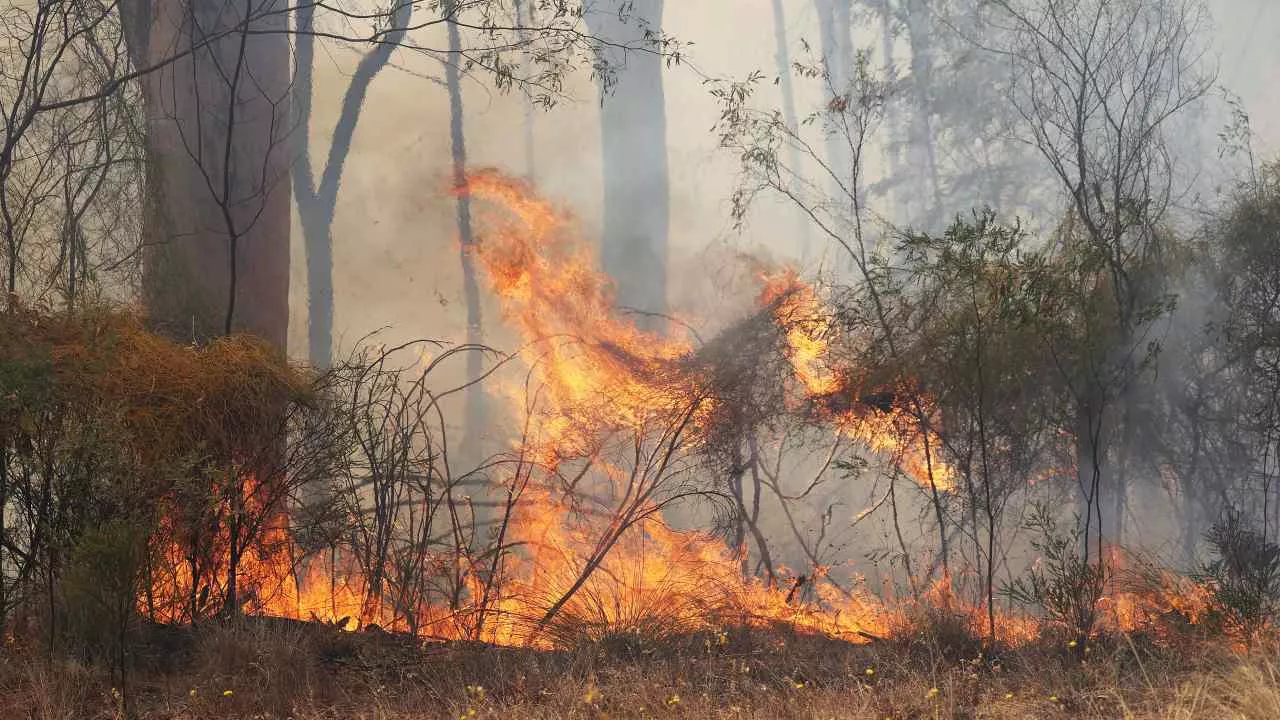 Large and Dangerous Fire Threatens Properties in Western Downs Region