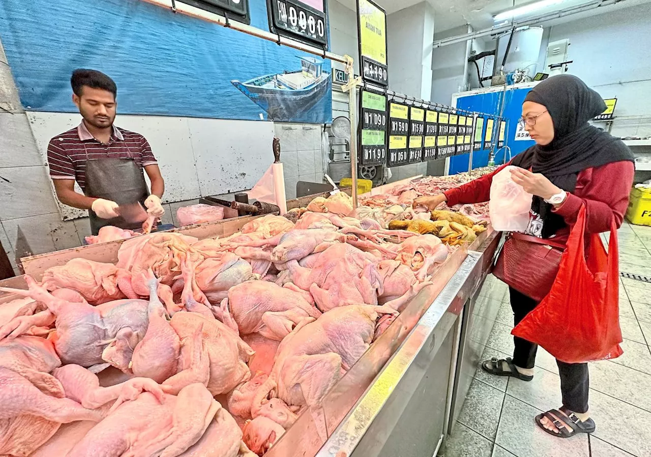 ‘It’ll take time to see impact of floated chicken, egg prices’