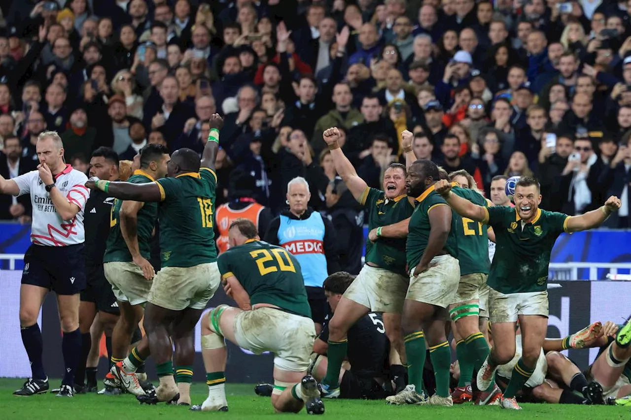 Finale de la Coupe du monde de rugby : un record d'audience pour TF1