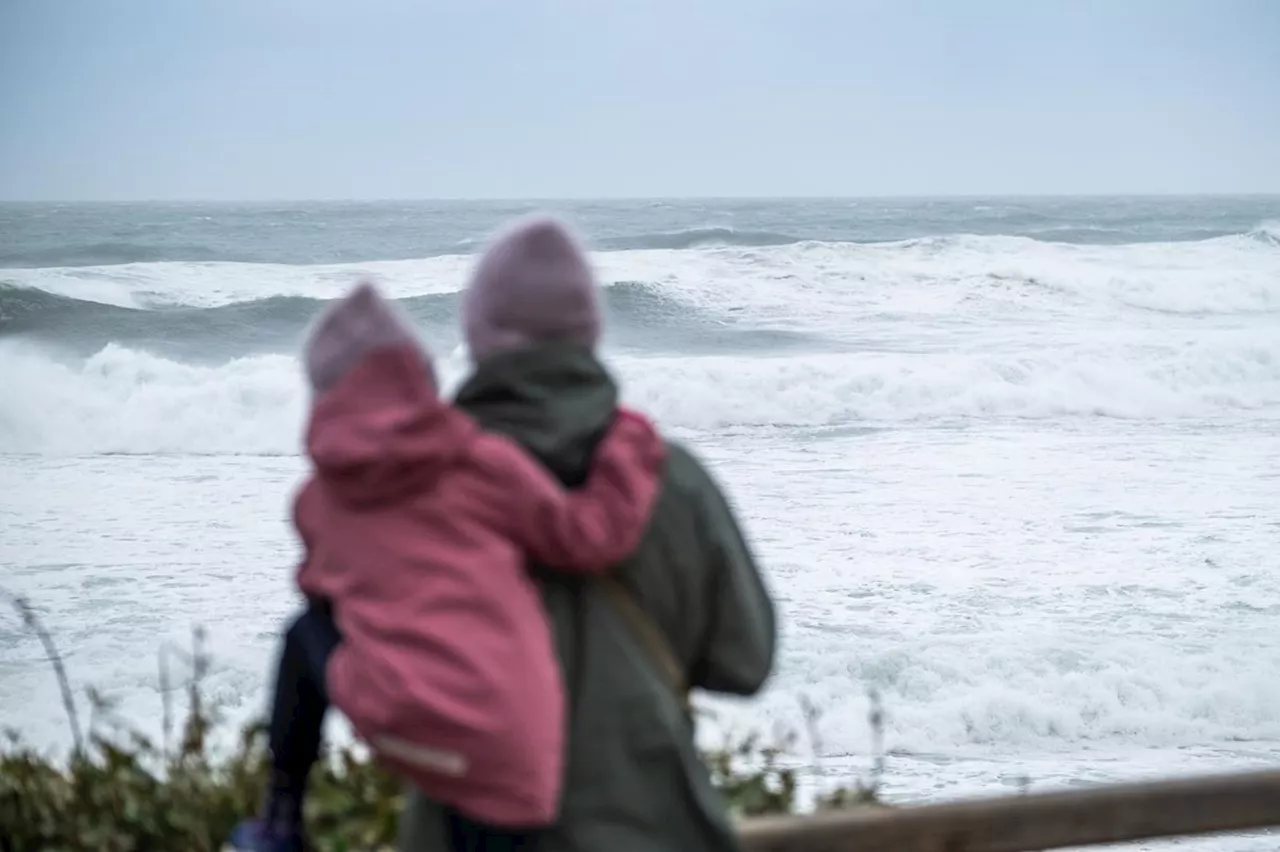 La Toussaint à Lacanau : une arrière-saison fleurissante mais des vacances tristes