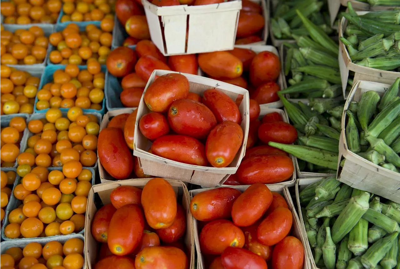 Sept vendeurs de rue arrêtés avec près de trois tonnes de fruits et légumes à Paris