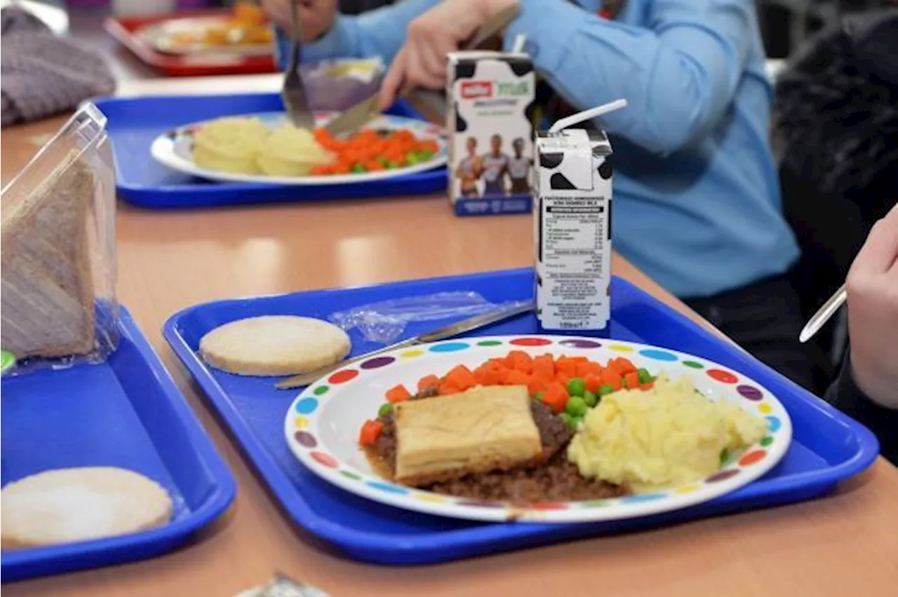 Calls for Extension of Universal Free School Meals in Scotland