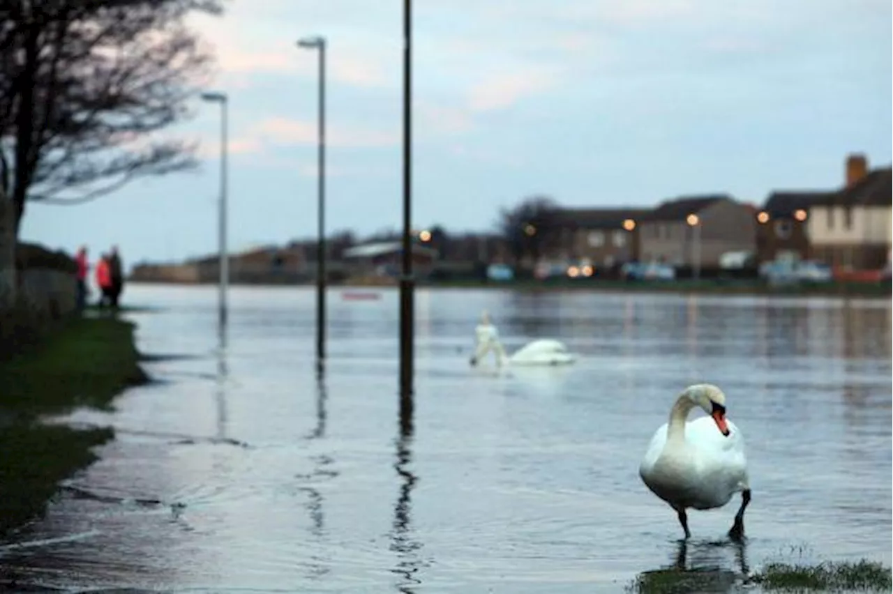 Residents of Musselburgh Oppose Proposed Scheme to Build Concrete Walls Along River Esk