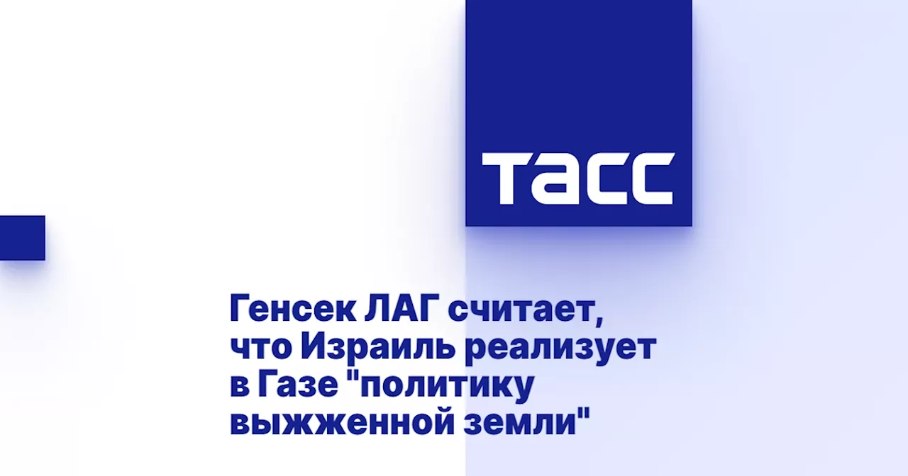 Генсек ЛАГ считает, что Израиль реализует в Газе 'политику выжженной земли'