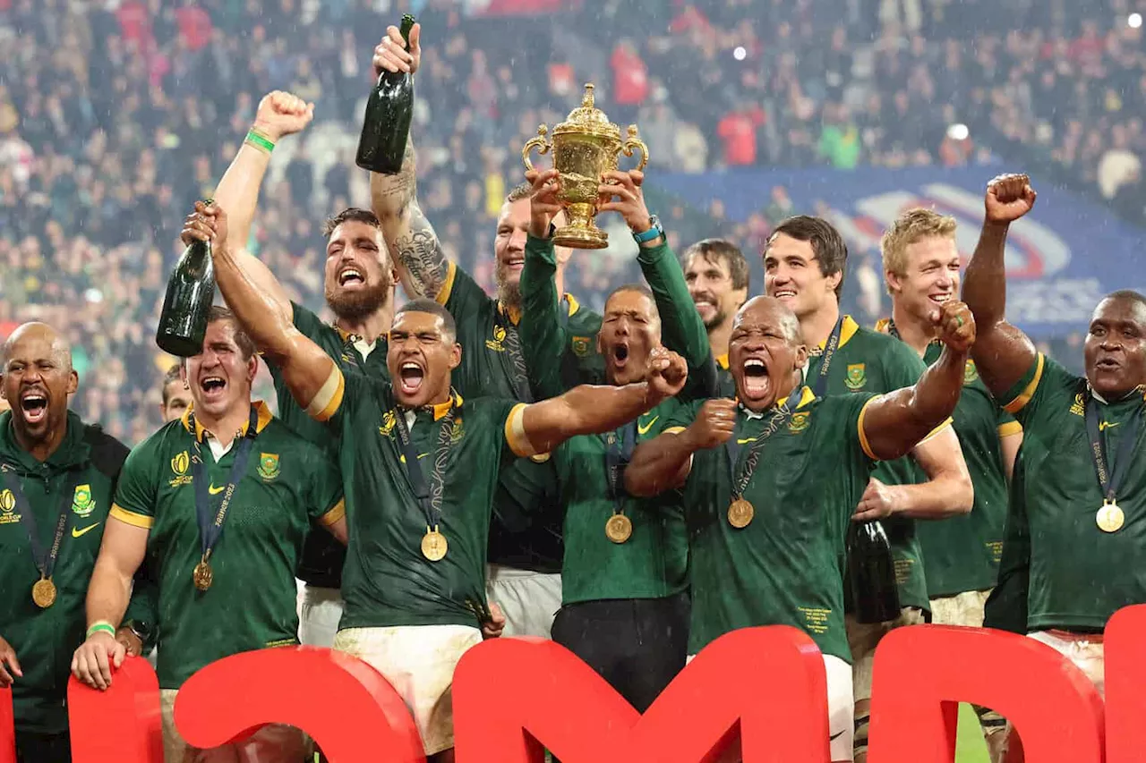 WATCH: Bok celebrations — From Faf to Federer to front-row frolics