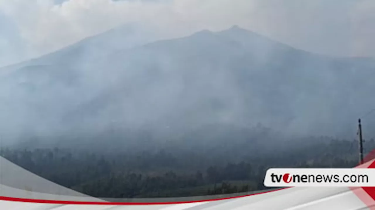 Kebakaran Merbabu, Petugas Upayakan Pemadaman dengan Water Bombing