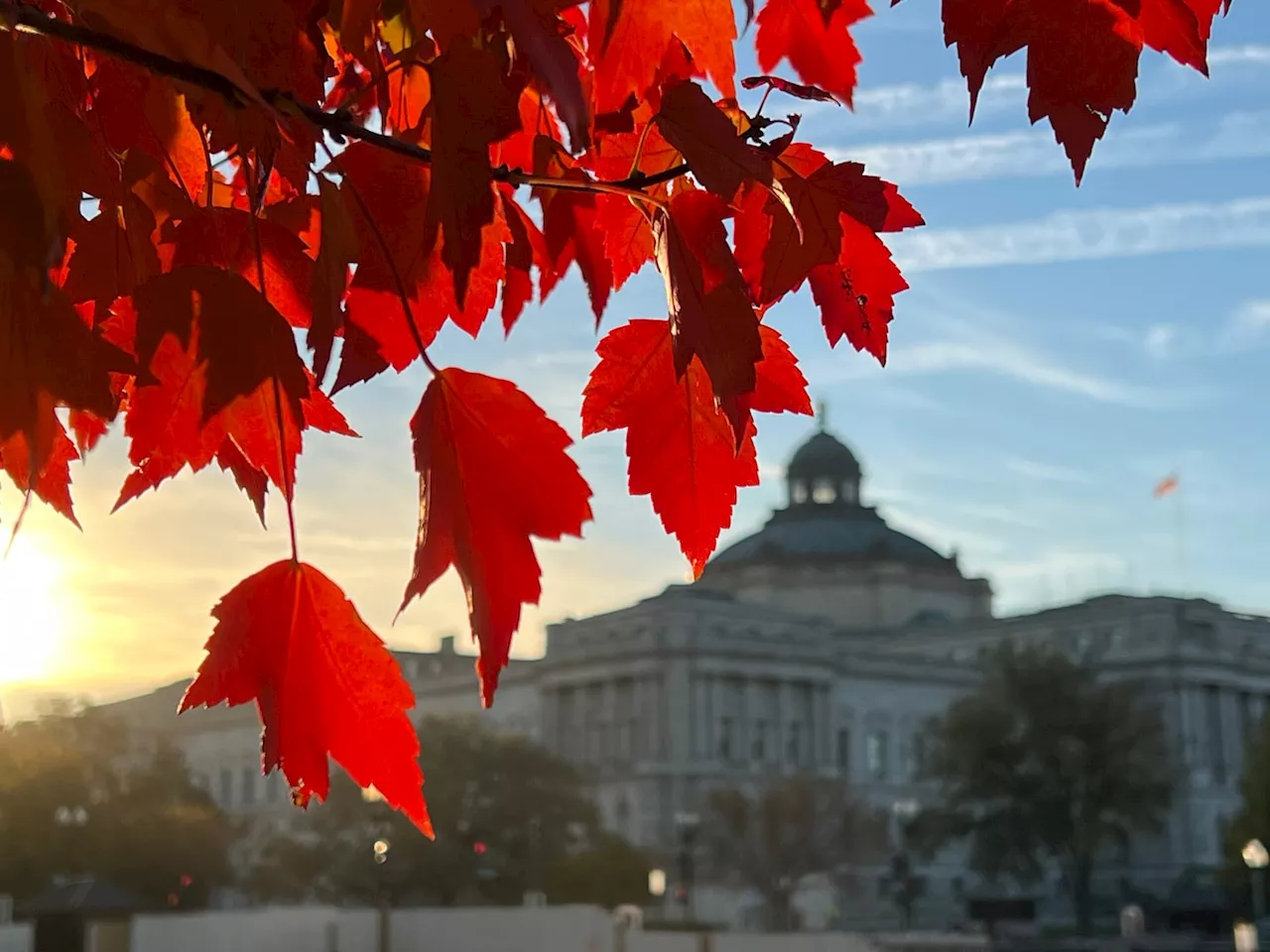 D.C.-area forecast: Still mild with more clouds today, turning much cooler by Halloween