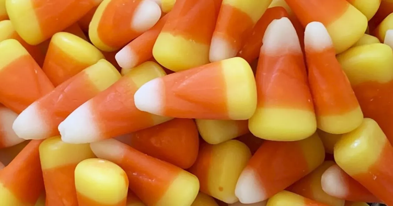 Love it or hate it, feelings run high over candy corn come Halloween