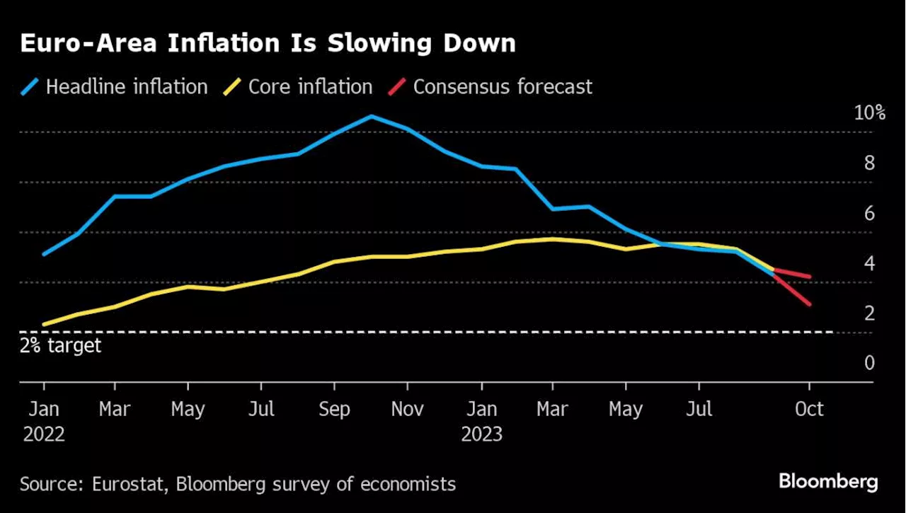 ECB Official Says Interest Rate Increases on Hold