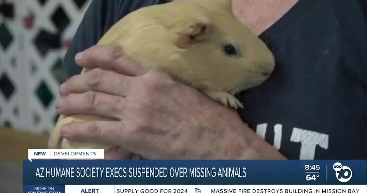 Leaders of the Humane Society of Southern Arizona suspended while investigation underway into missing pets