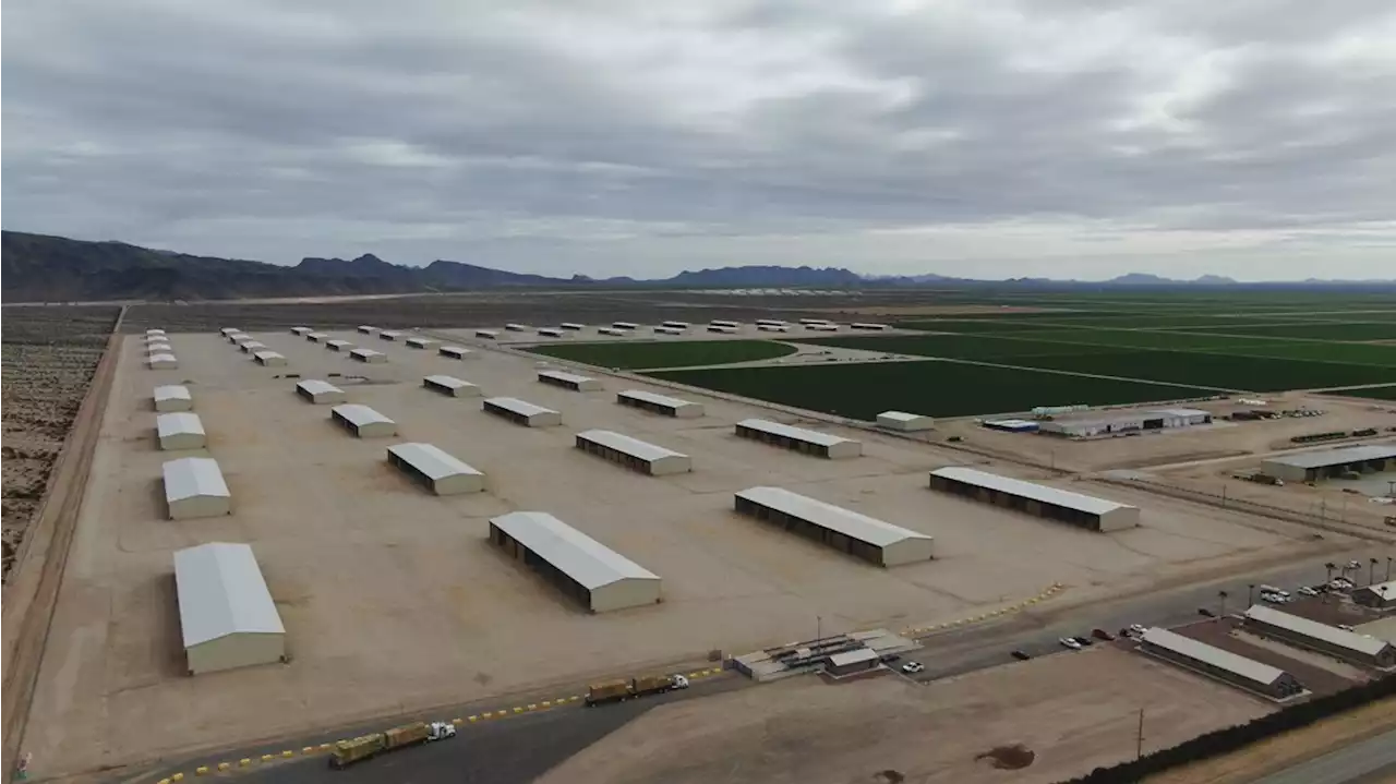 Arizona terminates lease with Saudi farm, inspects several others