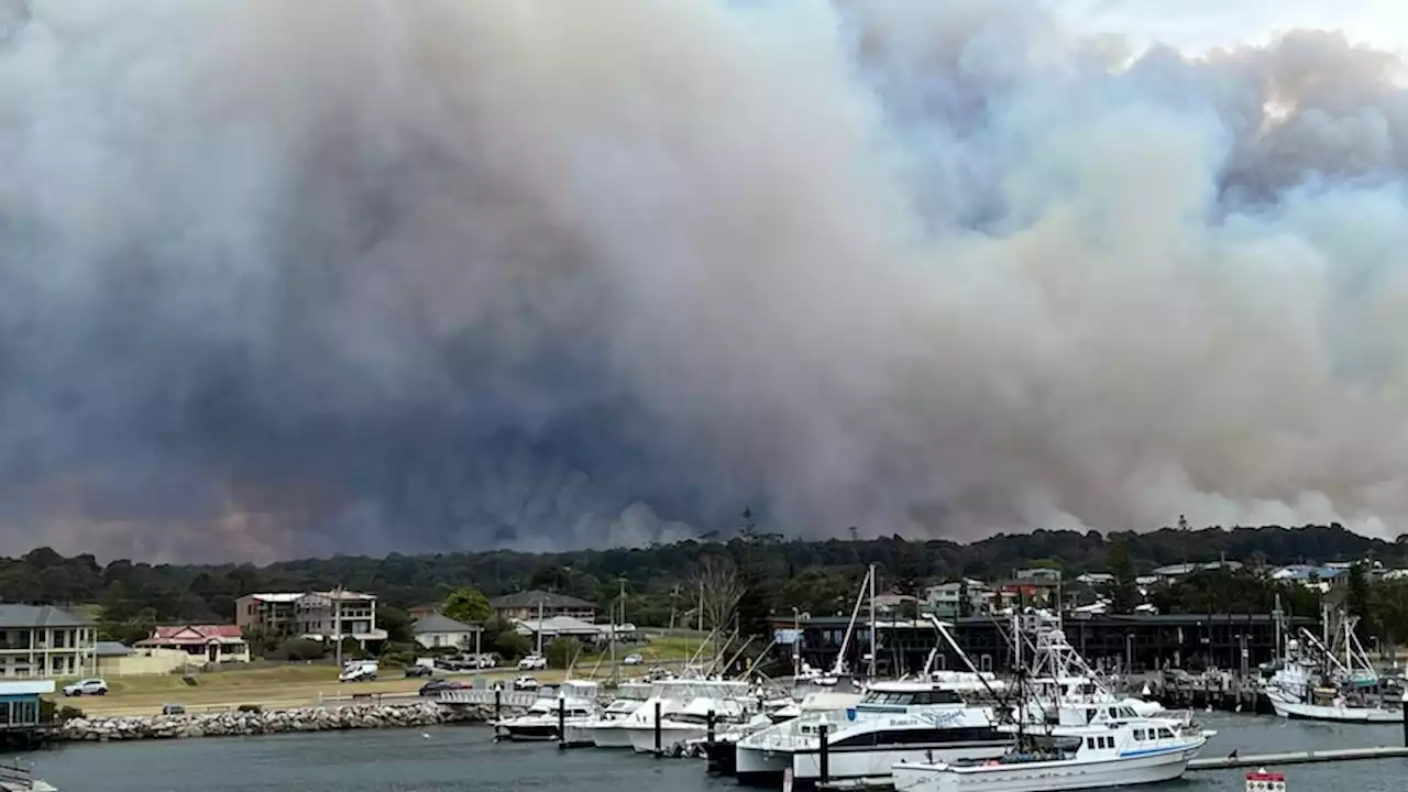 Live: Fires in NSW reach emergency level as Victoria, Tasmanian fires downgraded