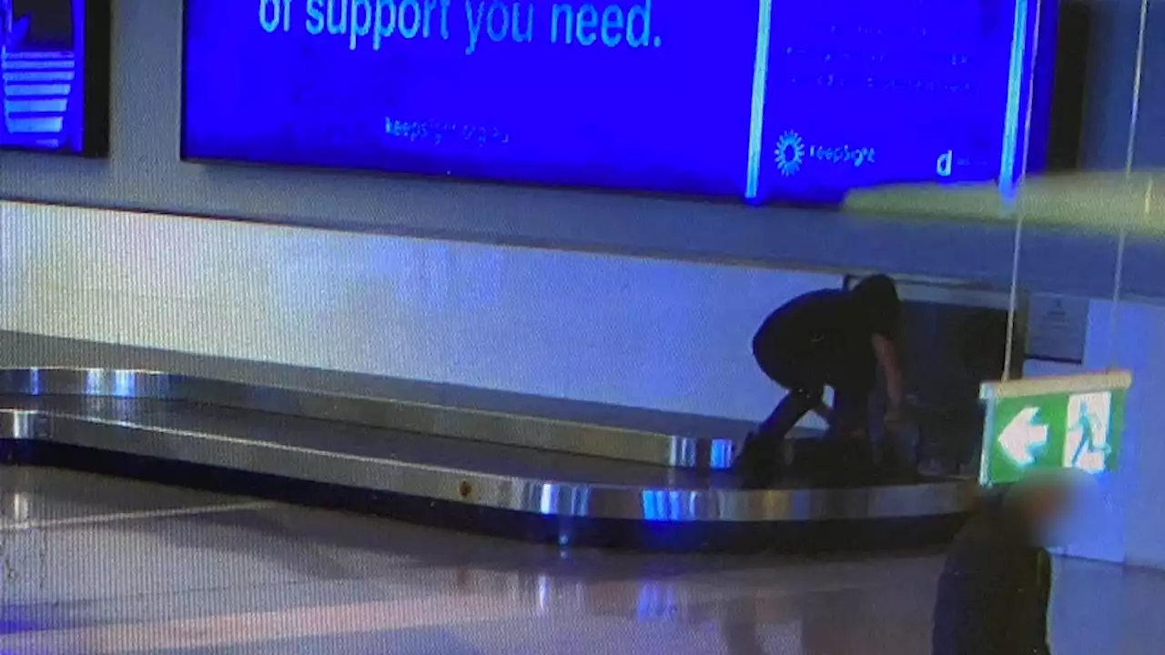 Queensland man who goaded teenage boy to ride Canberra Airport baggage carousel avoids fine