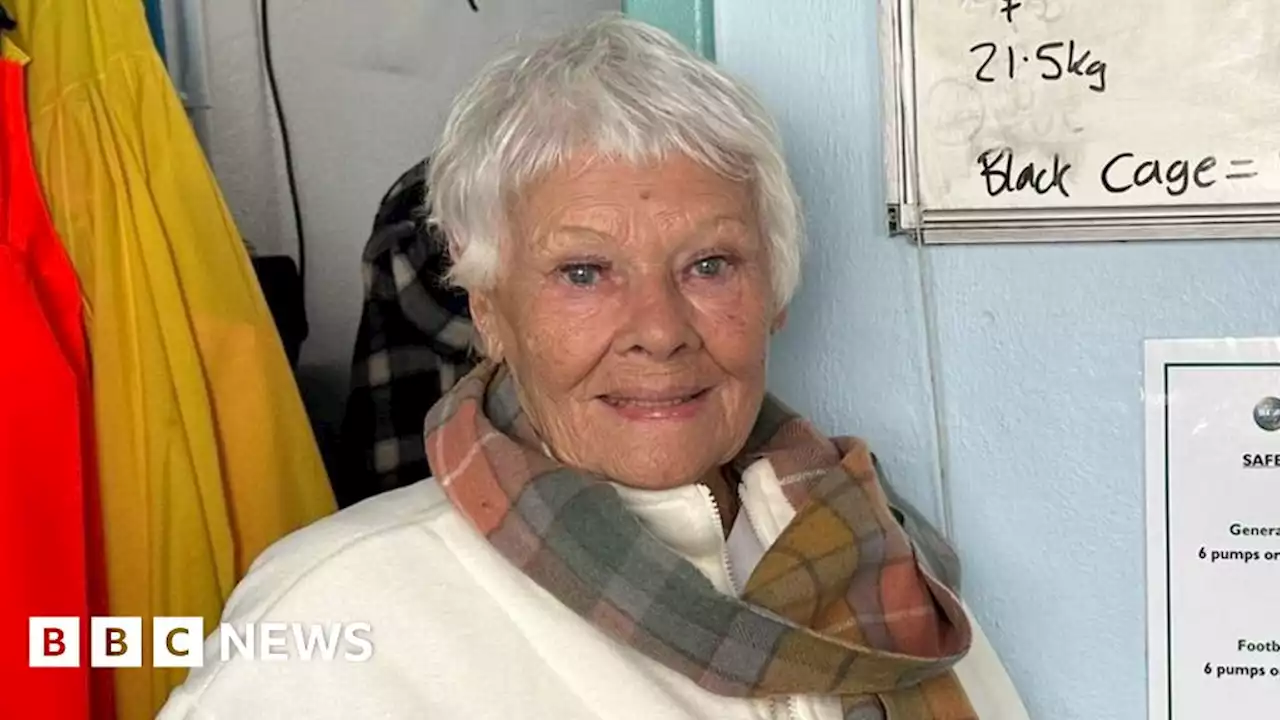 Judi Dench meets seal at the Cornish Seal Sanctuary