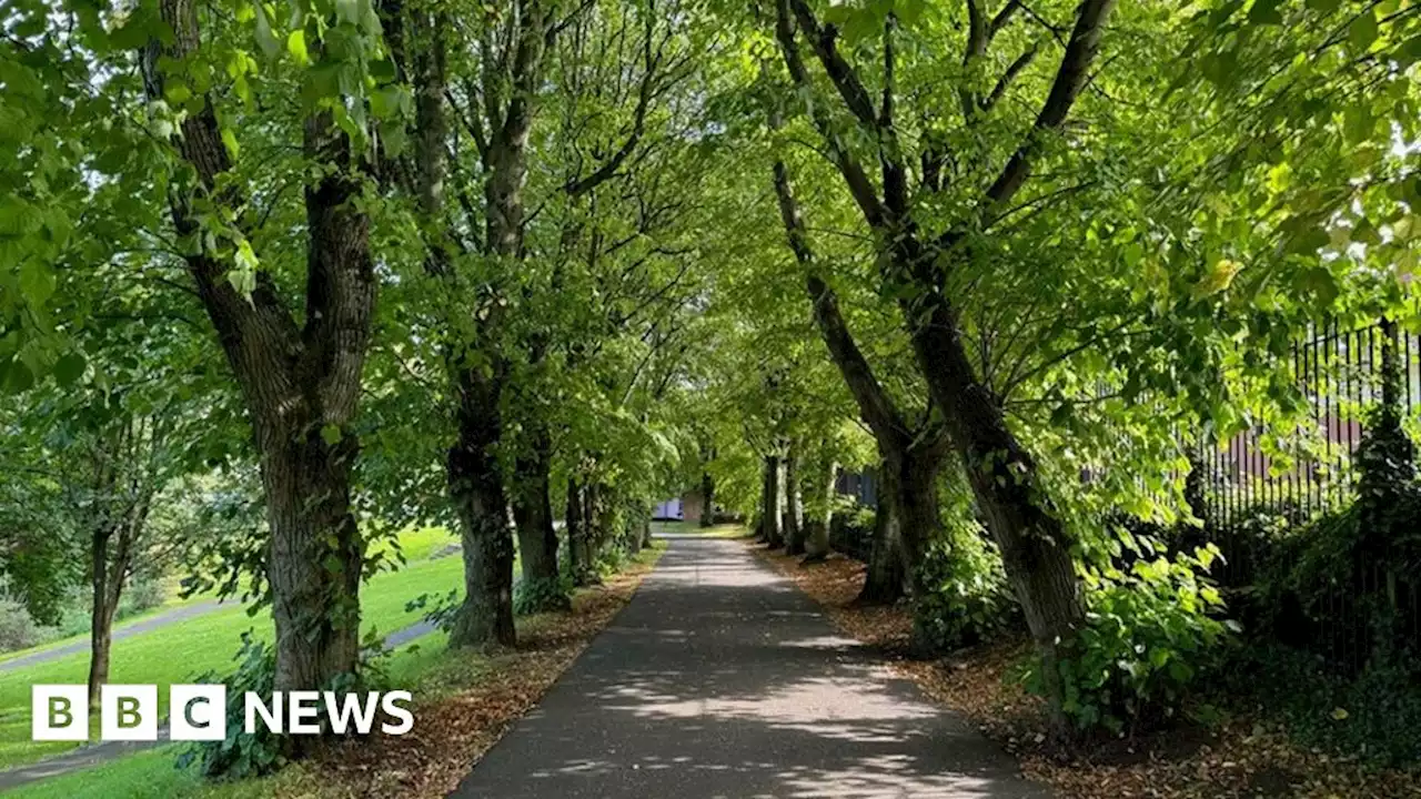 Northern Ireland sees joint warmest September on record