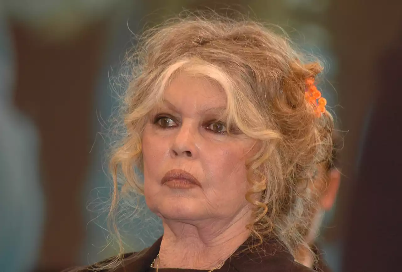 Brigitte Bardot au plus mal à 89 ans ? Après son hospitalisation, sa lettre touchante