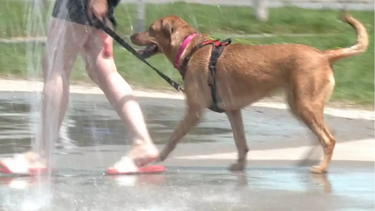 October heatwave could break records