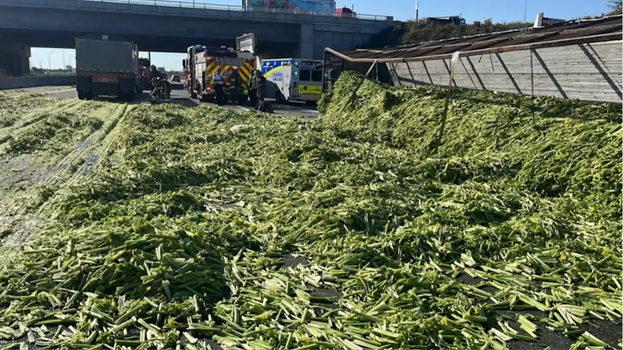 Celery spills onto Highway 400 after truck rolls over: OPP