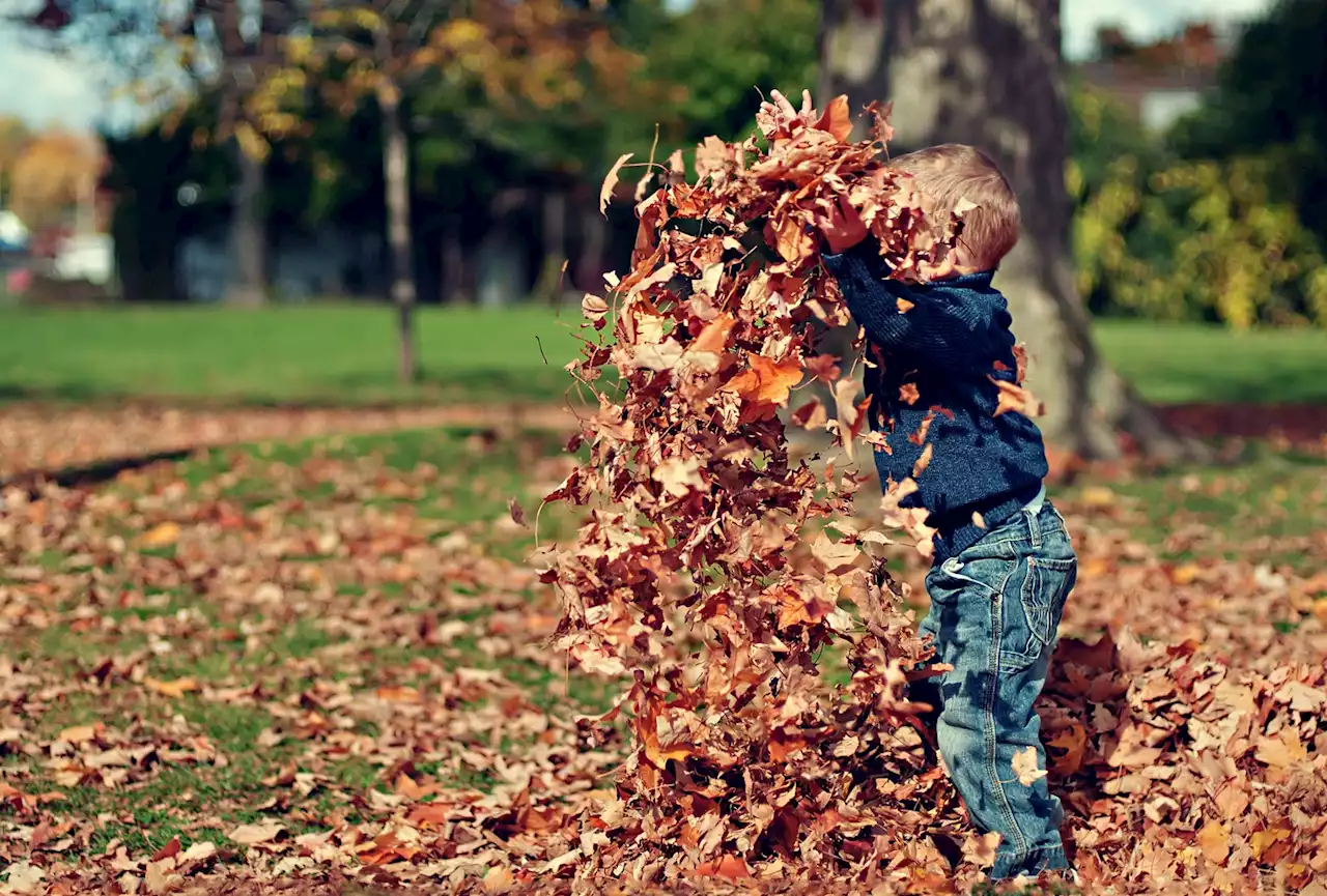 Sayonara, Summer: Pumpkin Spice Latte Season Is Upon Us