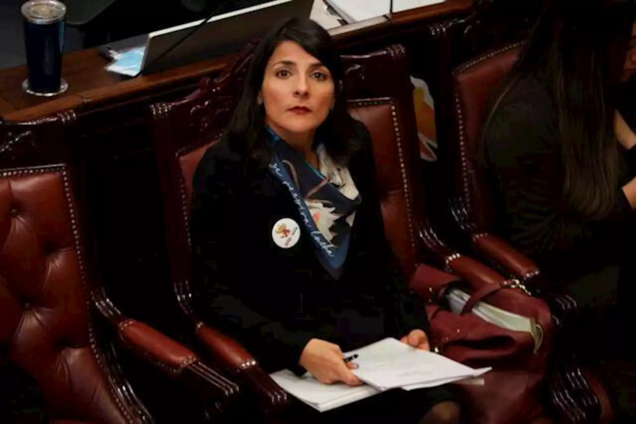 Tras dejar el MinMinas, Irene Vélez aterrizaría en la Agencia Nacional de Infraestructura