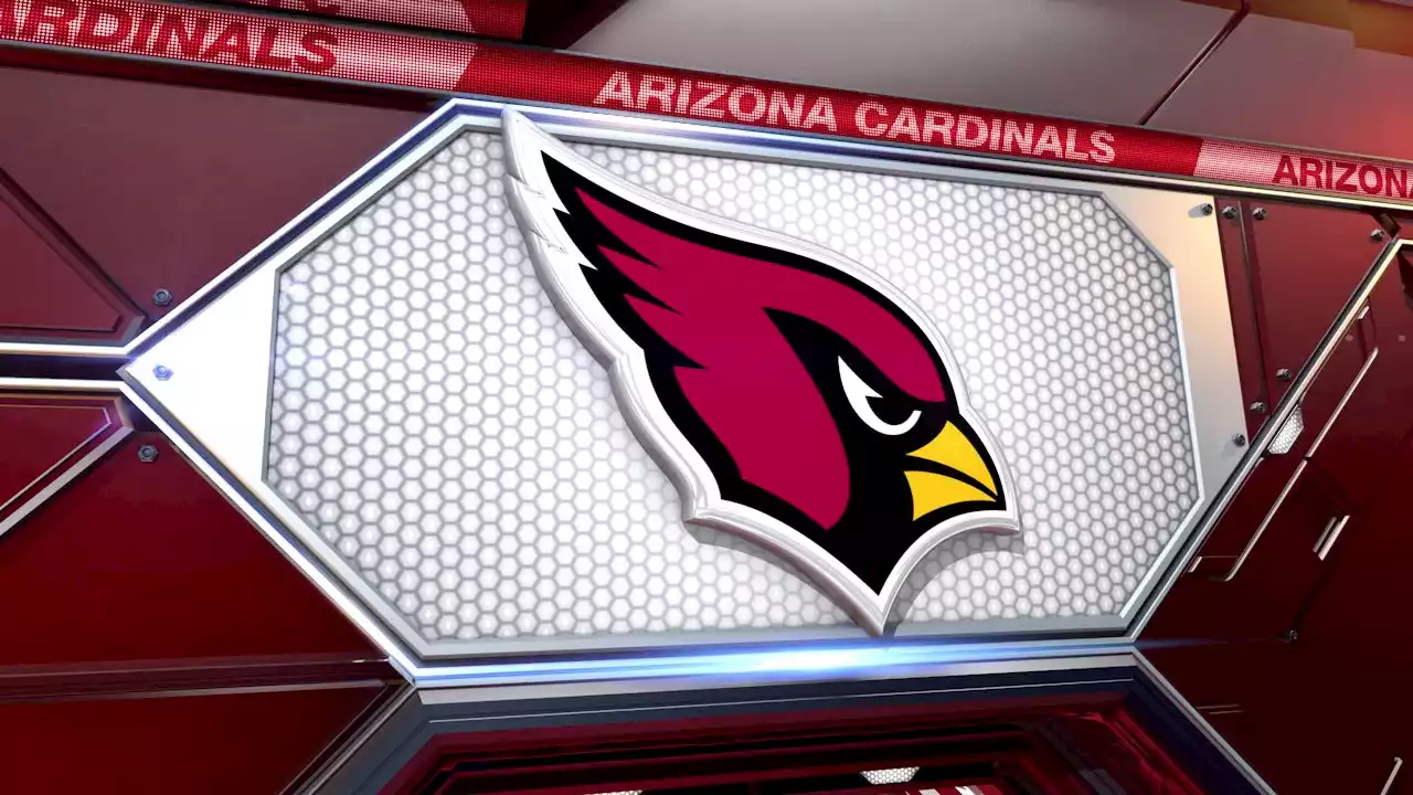 Arizona Cardinals showing growth despite 19-point loss to 49ers