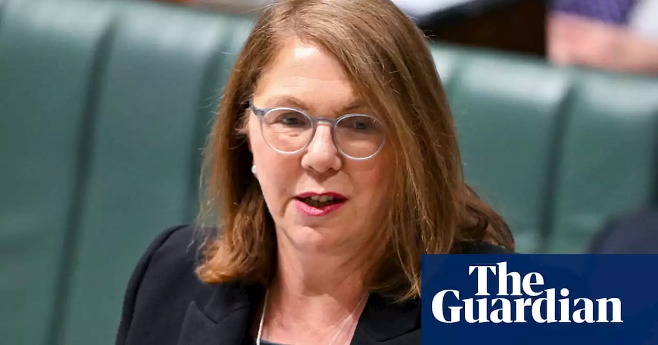 Catherine King refuses to front ‘political stunt’ Senate inquiry into Qatar Airways decision