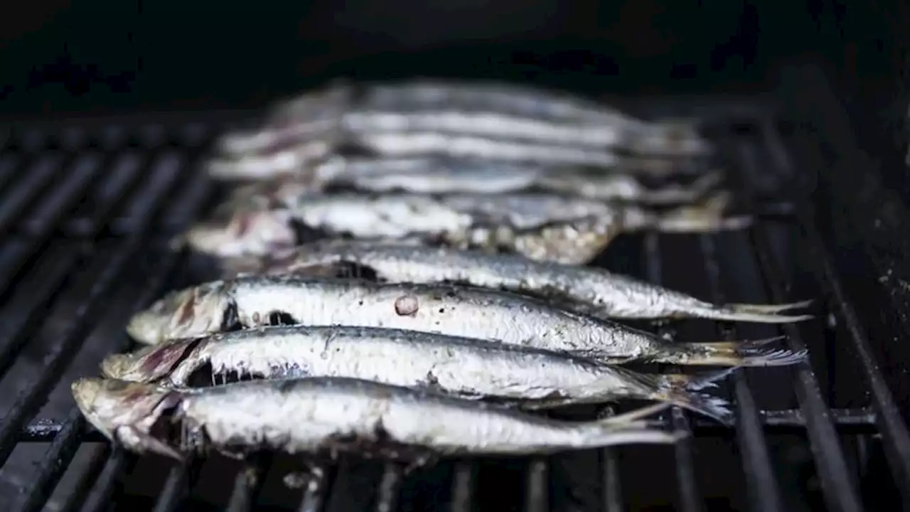 Los pescados con más mercurio que pueden llegar a nuestra mesa