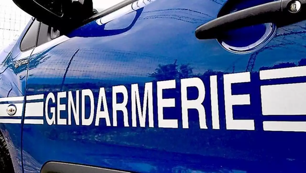 238 nouvelles gendarmeries : suffisant pour davantage de sécurité ?