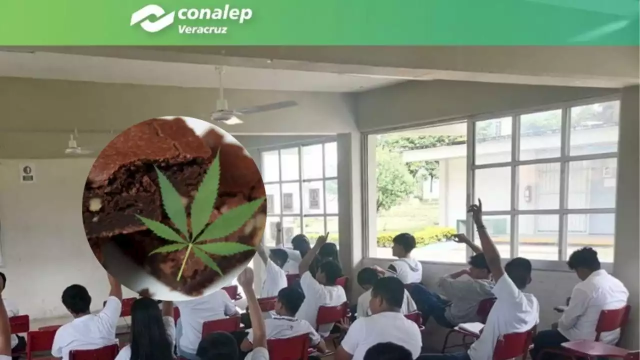 Al menos 10 estudiantes intoxicados con brownie con mariguana en Conalep de Atoyac, Veracruz