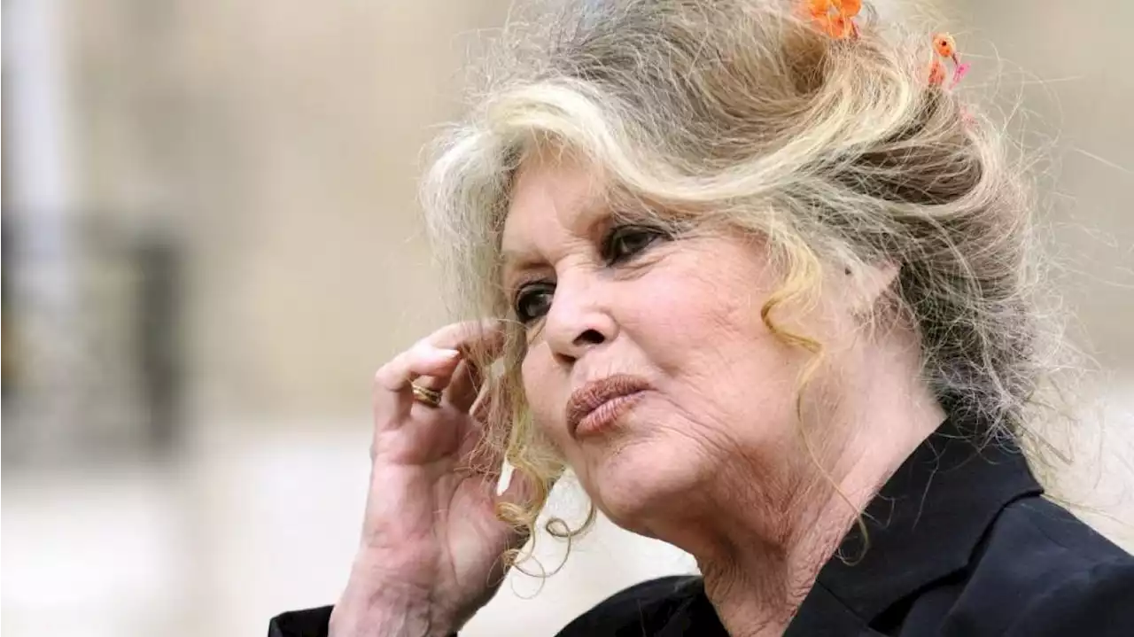 «Les larmes au yeux» : Brigitte Bardot remercie ses soutiens