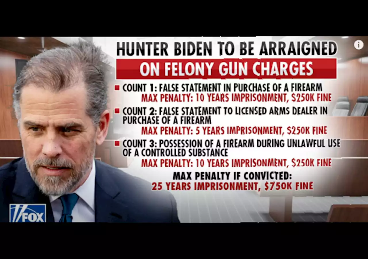 Hunter Biden in Court, Pleads Not Guilty to Gun Charges