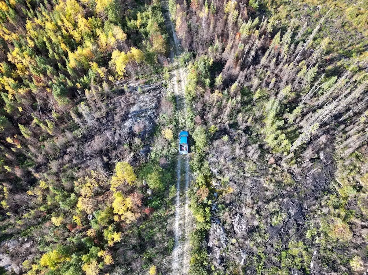 'Cela sent la mort': les autochtones canadiens sous le choc après les incendies