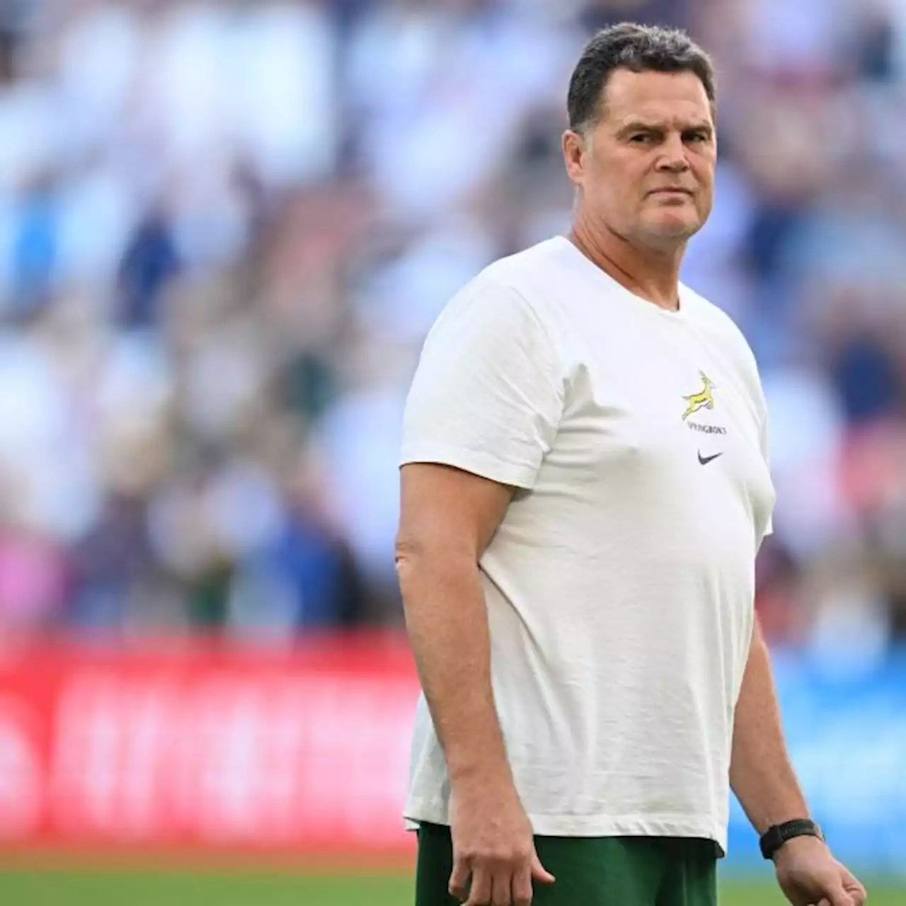 Des Springboks tranquilles en attendant un très probable quart de finale