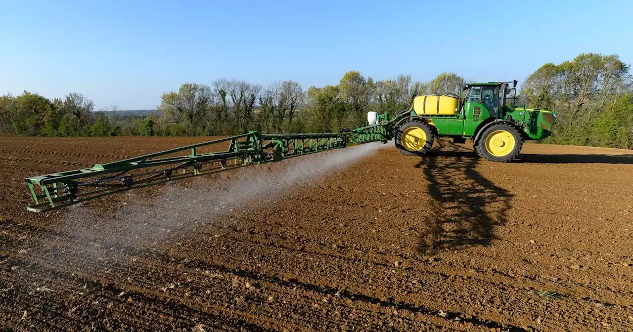 Prosulfocarbe : l’utilisation du deuxième herbicide le plus répandu en France restreinte mais pas interdite