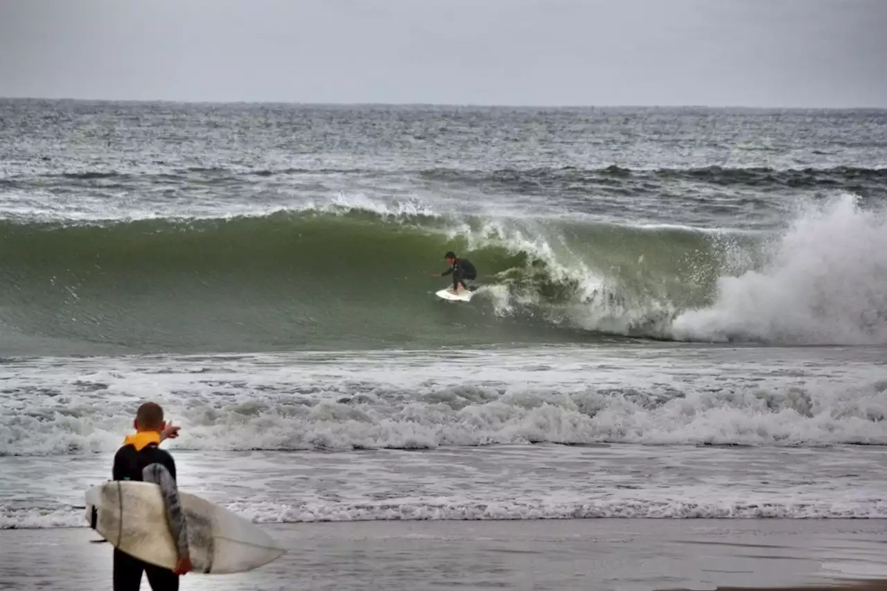 Surf : Landes. Le Royal Barrique, va-t-il démarrer ce mercredi 4 octobre ?