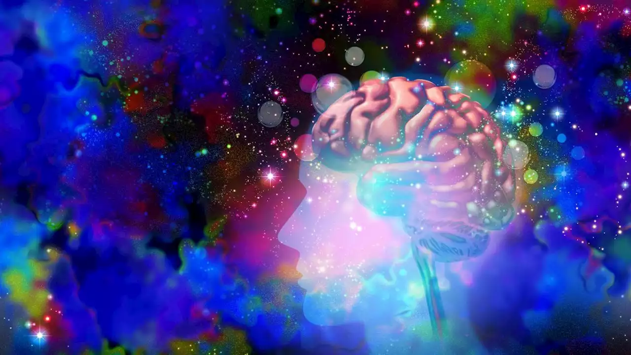 Psychedelics rapidly change the brain. Here's how.