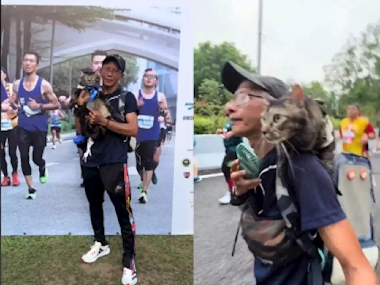 Cat owner finishes KL marathon with pet on his shoulder, winning over social media users (VIDEO)