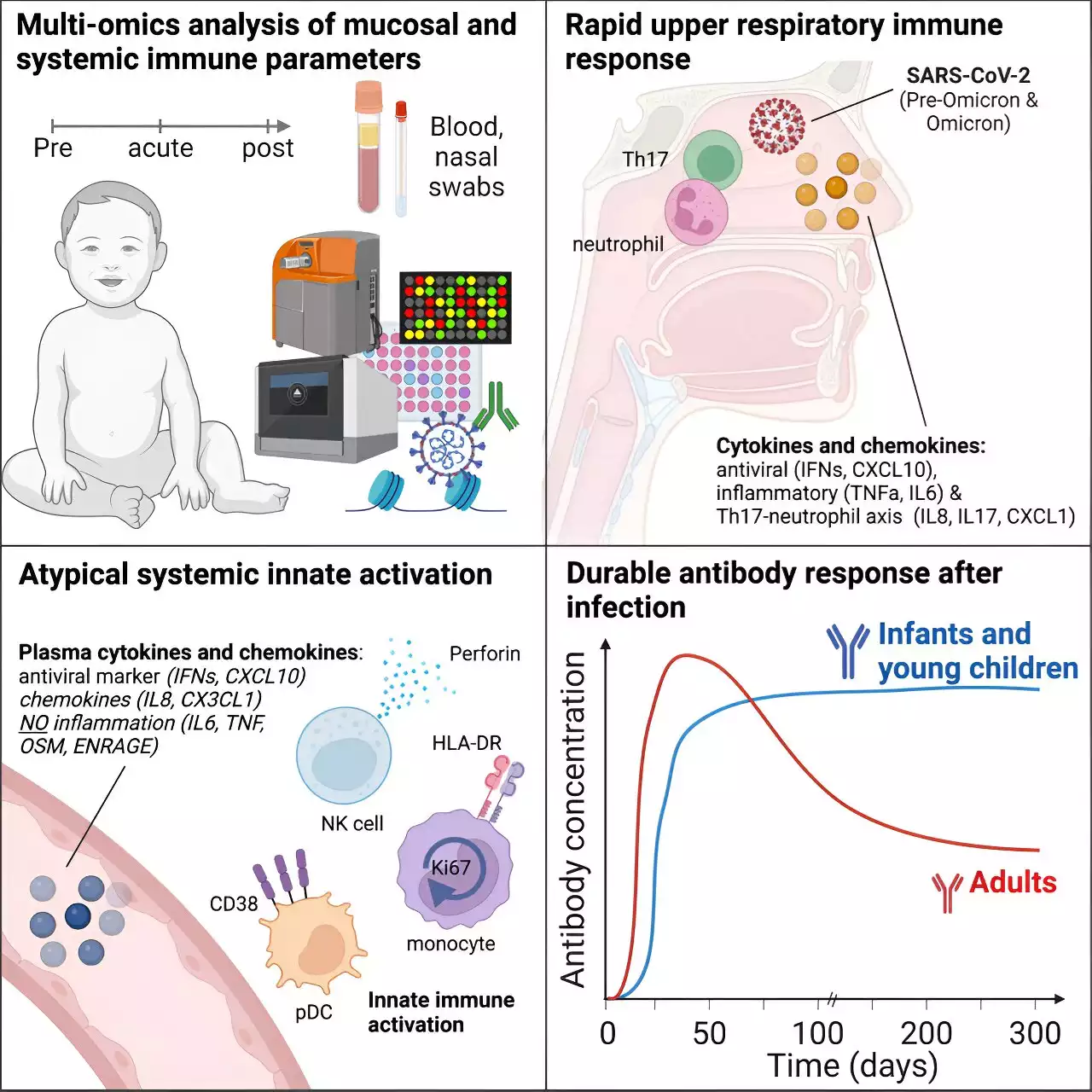 Infant immune systems found to have unique and effective responses to SARS-CoV-2