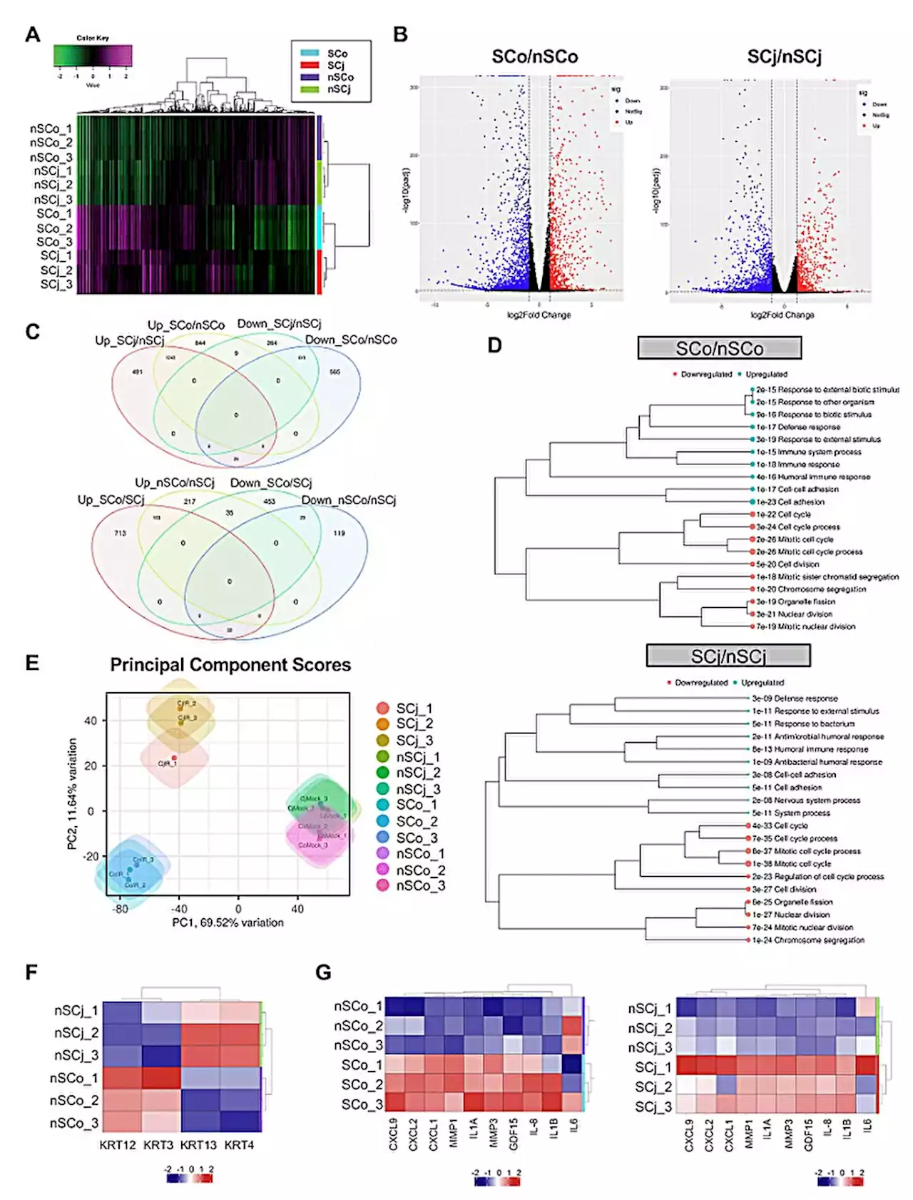 Study: Gene expression signatures of human senescent corneal and conjunctival epithelial cells