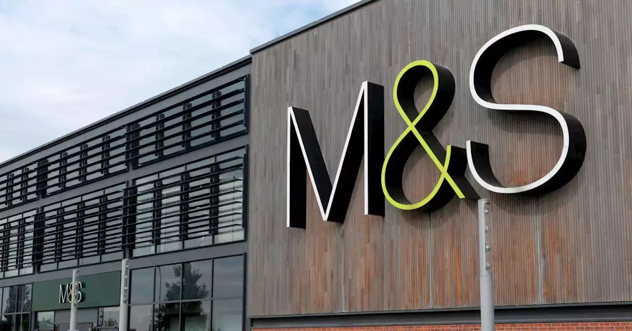 M&S 'luxurious' £17 scarf being compared to £250 designer Acne Studios version